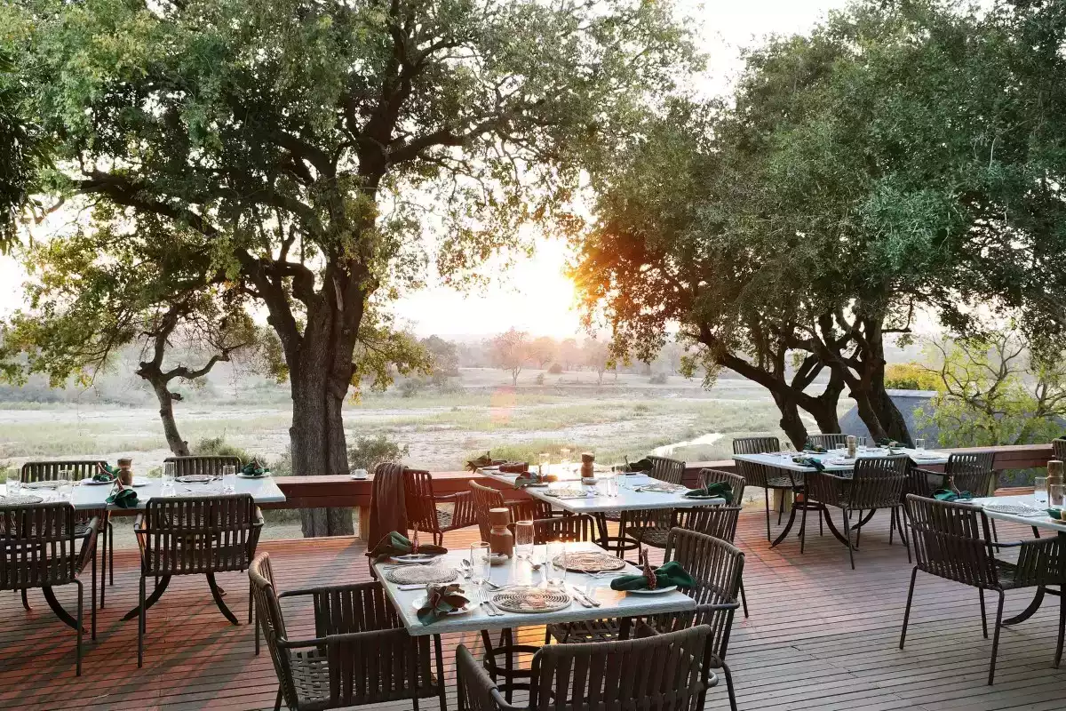 3 Day Mala Mala Big 5 Safari