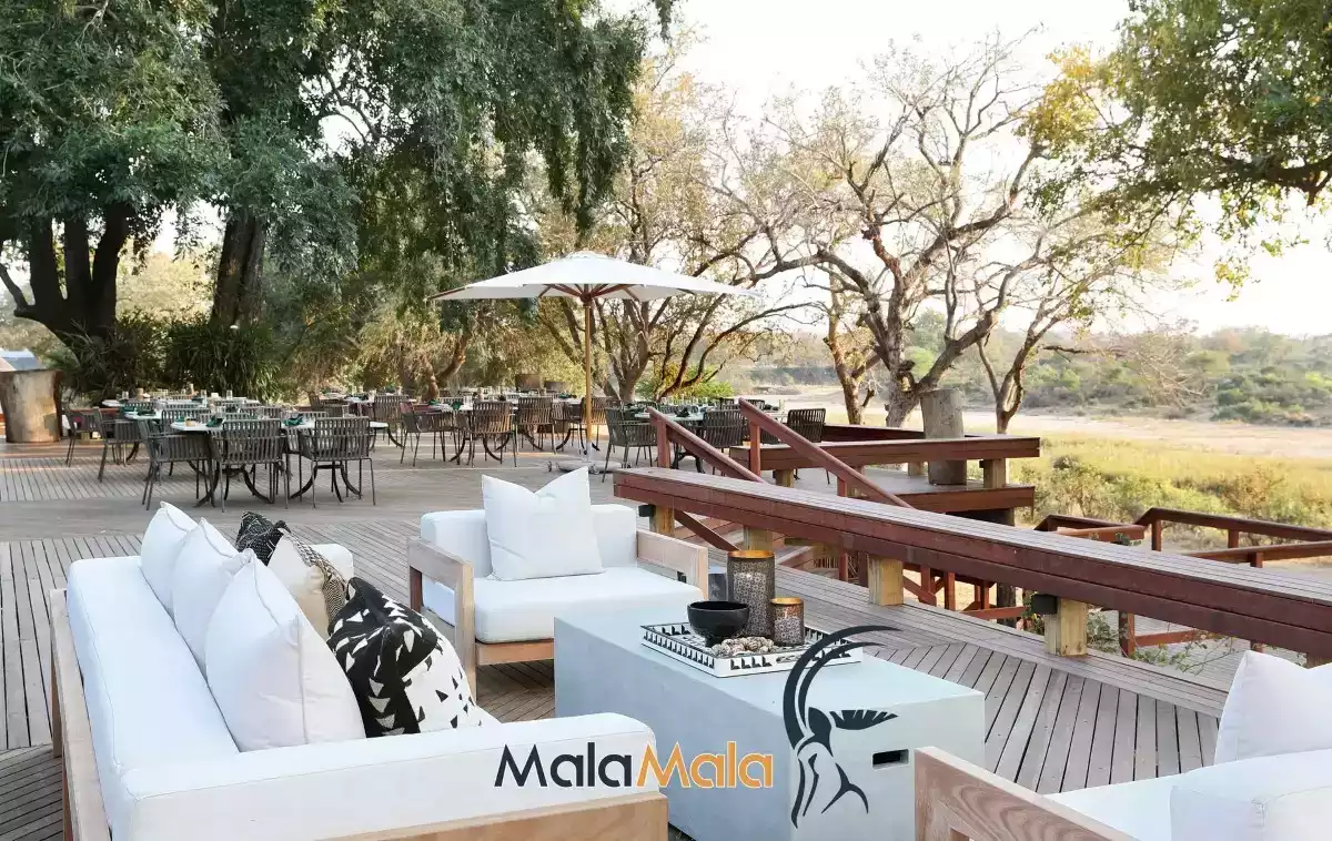 3 Day Mala Mala Big 5 Safari