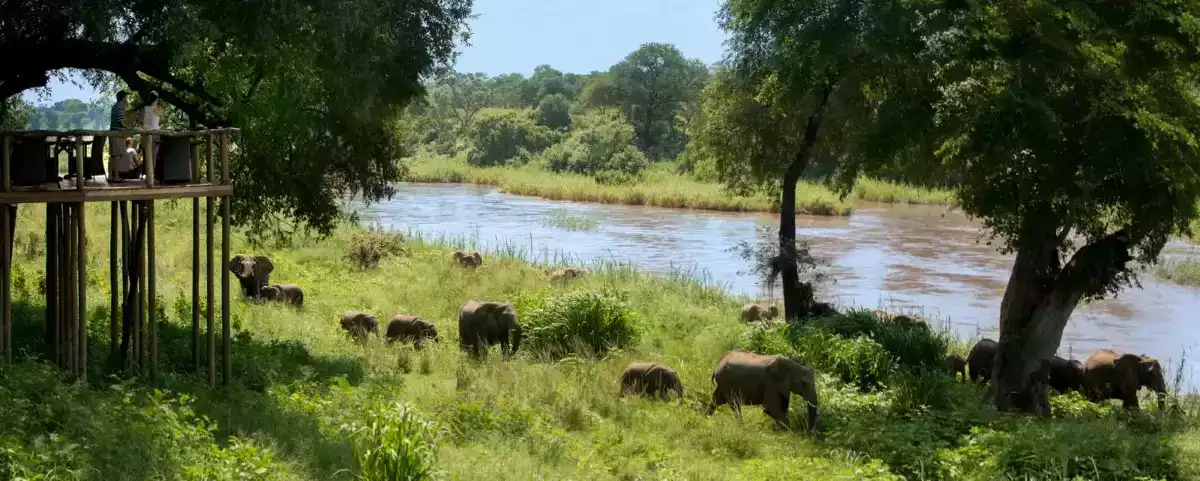 The Luxury 4 Day Kruger Exclusive Getaway With Lion Sands Narina in South Africa