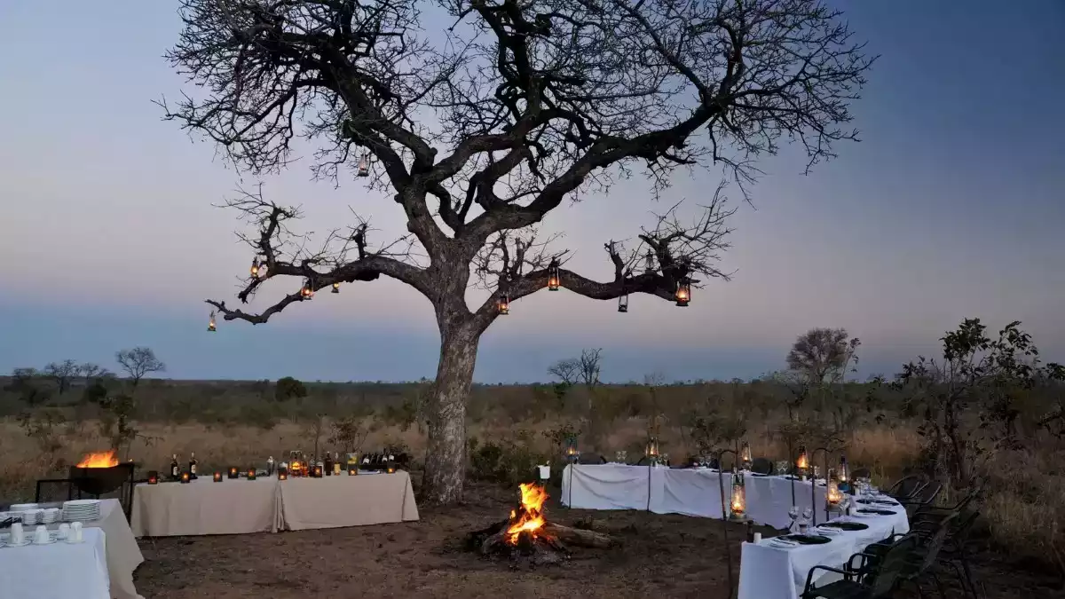 5 Day Kruger Park and Sabi Sand Safari