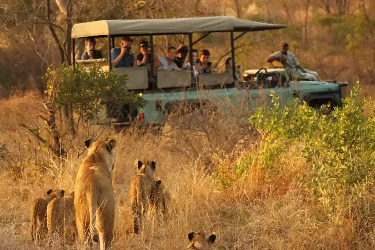 5 Day Kruger Park and Sabi Sand Safari