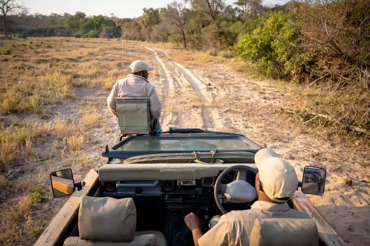 The Luxury 5 Day Thornybush Fly In Package in South Africa