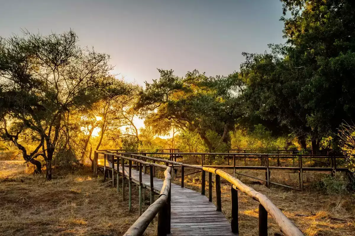 7 Day Cape Town To Pafuri safari