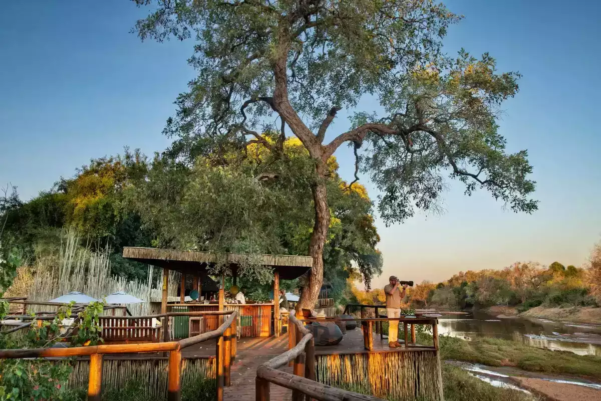 7 Day Cape Town To Pafuri safari