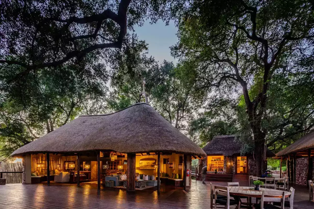 7 Day Cape Town To Pafuri safari