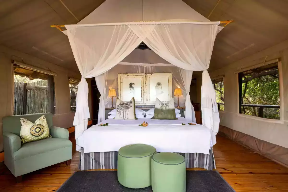 7 Day Cape Town To Pafuri safari