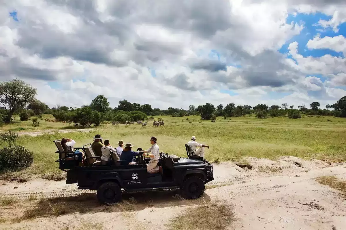 7 Day Cape Town And Londolozi Combo