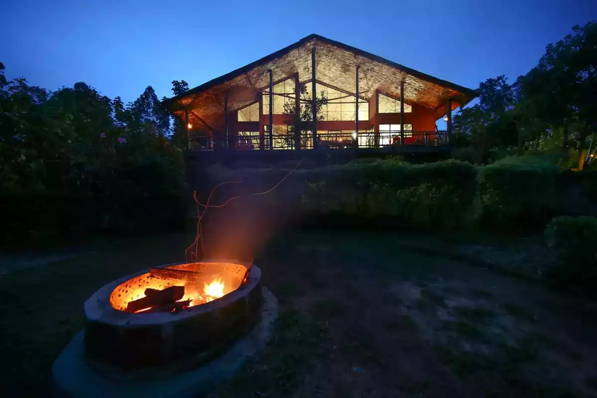 4 Day Gorilla Safari Experience