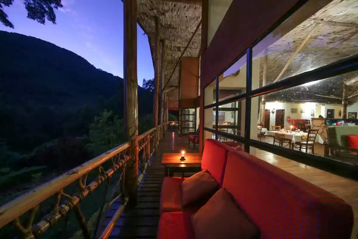 4 Day Gorilla Safari Experience