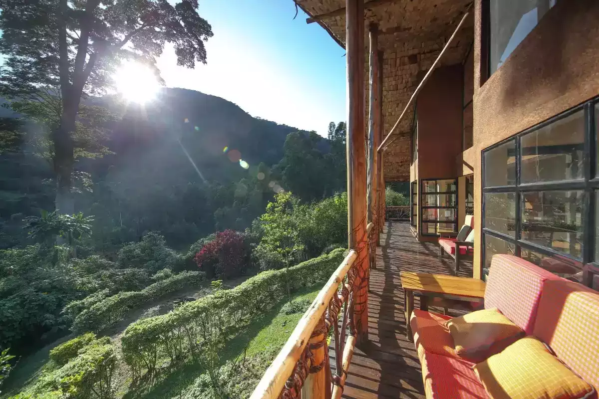 4 Day Gorilla Safari Experience