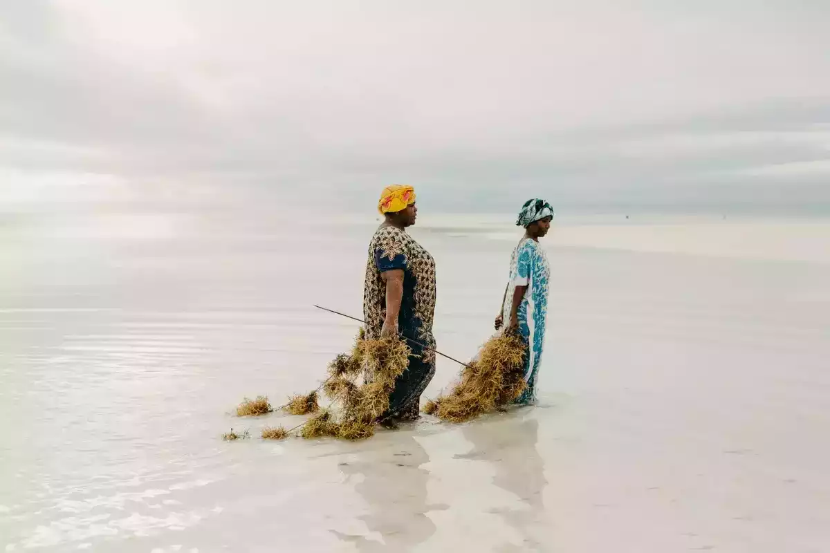 7 Day Luxury Zanzibar East Fly In Beach Safari